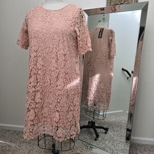 Nina Leonard Pink Sheath Dress Short Sleeve Crew Neck